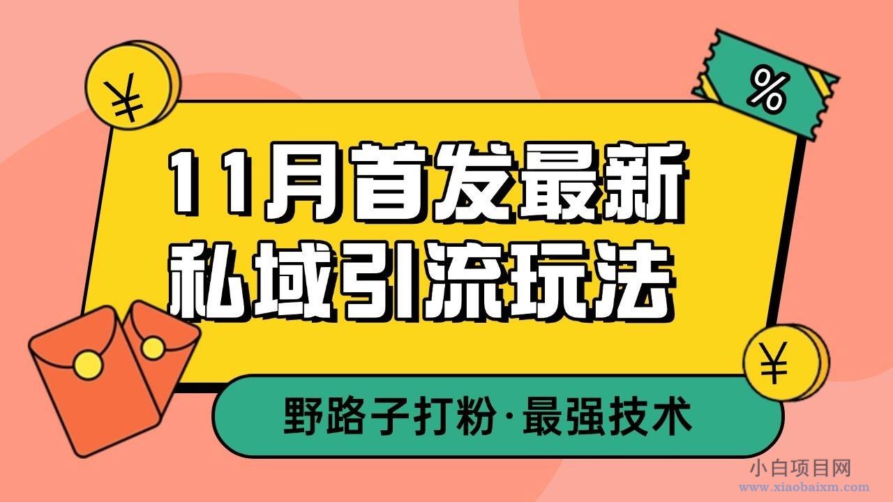 11月首发最新私域引流玩法，自动克隆爆款一键改写截流自热一体化 日引300+精准粉-小白项目分享网