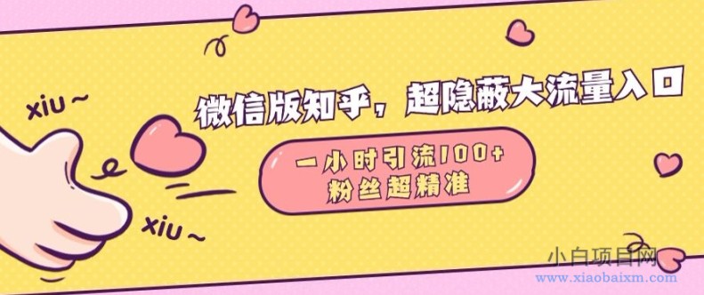 微信版知乎，超隐蔽流量入口1小时引流100人，粉丝质量超高【揭秘】-小白项目分享网