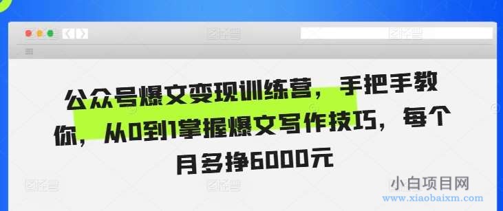 公众号爆文变现训练营，手把手教你，从0到1掌握爆文写作技巧，每个月多挣6000元-小白项目分享网