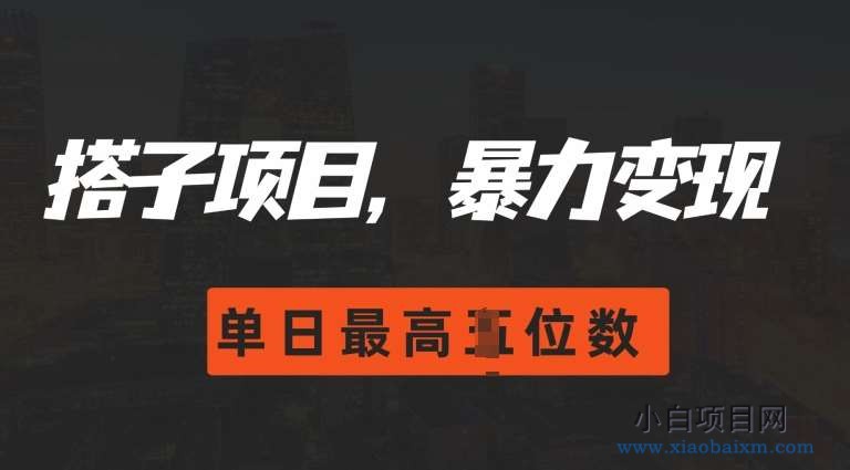 2024搭子玩法，0门槛，暴力变现，单日最高破四位数【揭秘】-小白项目分享网