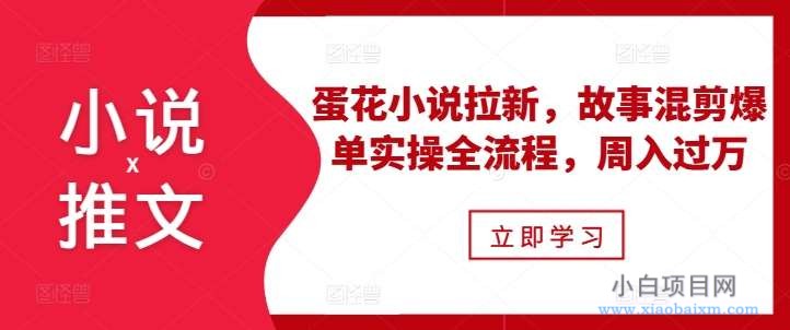 小说推文之蛋花小说拉新，故事混剪爆单实操全流程，周入过万-小白项目分享网