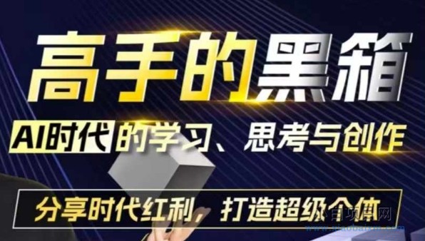 高手的黑箱：AI时代学习、思考与创作-分红时代红利，打造超级个体-小白项目分享网