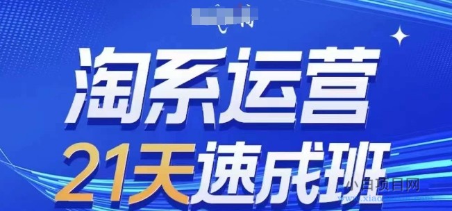 淘系运营21天速成班(更新24年11月)，0基础轻松搞定淘系运营，不做假把式-小白项目分享网