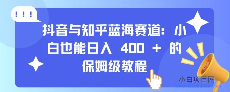 抖音与知乎蓝海赛道：小白也能日入 4张 的保姆级教程-小白项目分享网