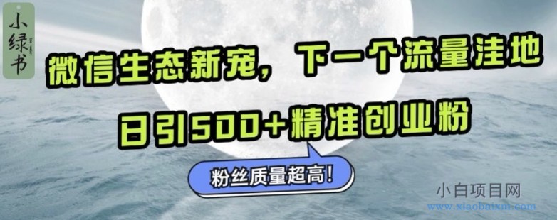 微信生态新宠小绿书：下一个流量洼地，日引500+精准创业粉，粉丝质量超高-小白项目分享网