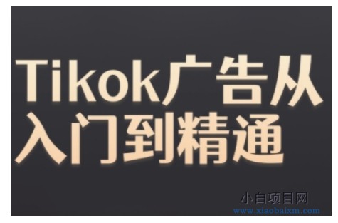 TIKTOK ADS实操教程，TIKTOK广告从入门到精通-小白项目分享网