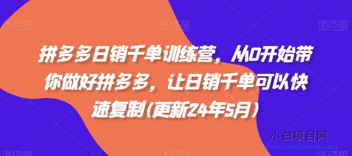 拼多多日销千单训练营，从0开始带你做好拼多多，让日销千单可以快速复制(更新24年11月)-小白项目分享网