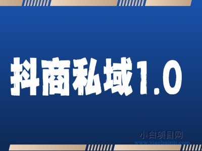 抖商服务私域1.0，抖音引流获客详细教学-小白项目分享网