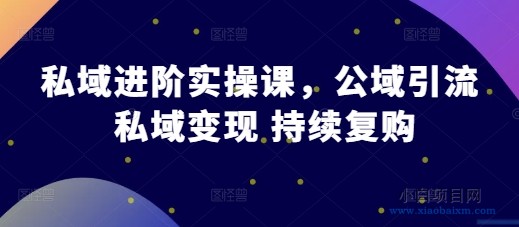 私域进阶实操课，公域引流 私域变现 持续复购-小白项目分享网