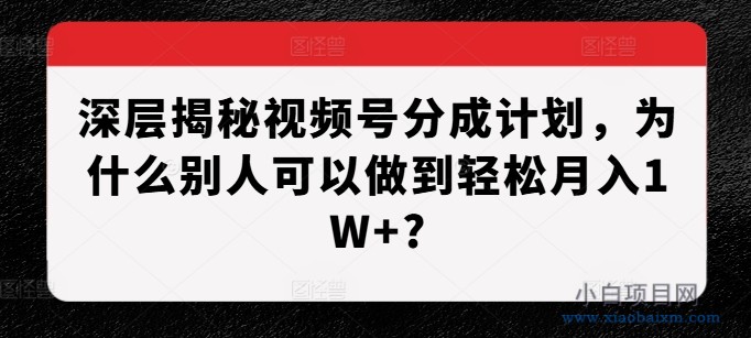 深层揭秘视频号分成计划，为什么别人可以做到轻松月入1W+?-小白项目分享网