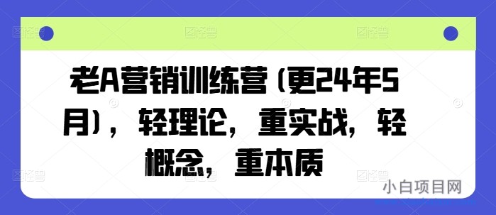 老A营销训练营：109节课程，实战为王，本质至上（24年11月全新）-小白项目分享网