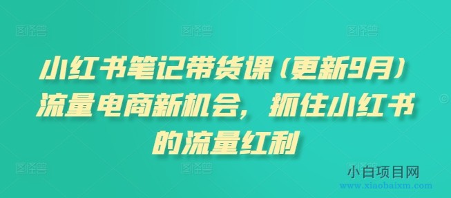 小红书笔记带货课(更新11月)流量电商新机会，抓住小红书的流量红利-小白项目分享网