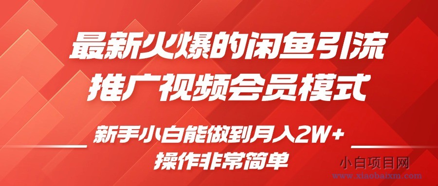 闲鱼引流推广影视会员，0成本就可以操作，新手小白月入过W+【揭秘】-小白项目分享网