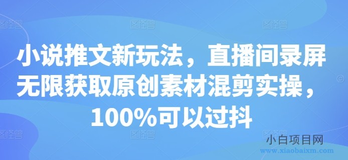 小说推文新玩法，直播间录屏无限获取原创素材混剪实操，100%可以过抖-小白项目分享网