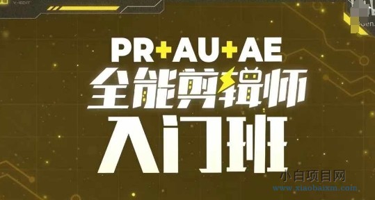 PR+AU+AE全能剪辑师入门班，剪辑入门必学课程-小白项目分享网