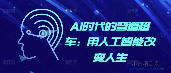 AI时代的弯道超车：用人工智能改变人生-小白项目分享网