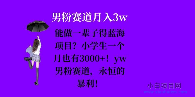 能做一辈子的蓝海项目？小学生一个月也有3000+，yw男粉赛道，永恒的暴利-小白项目分享网