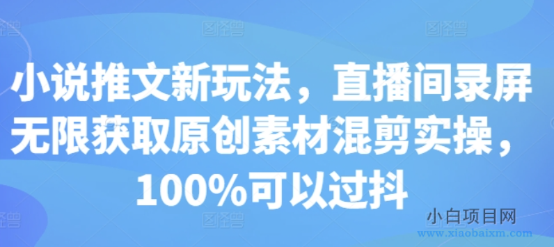 小说推文新玩法，直播间录屏无限获取原创素材混剪实操，100%可以过抖-小白项目分享网