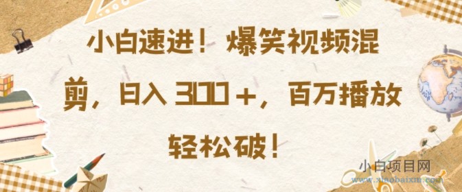 小白速进，爆笑视频混剪，日入3张，百万播放轻松破【揭秘】-小白项目分享网