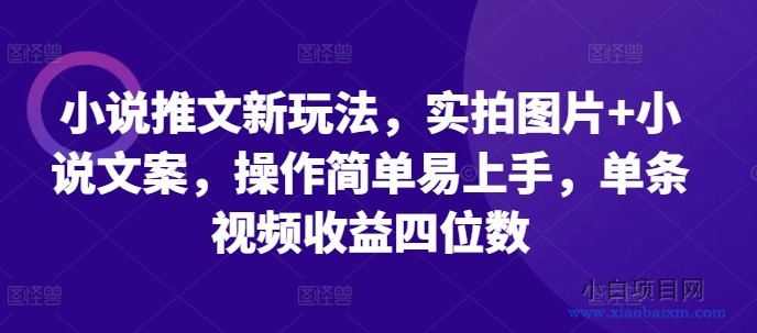 小说推文新玩法，实拍图片+小说文案，操作简单易上手，单条视频收益四位数-小白项目分享网