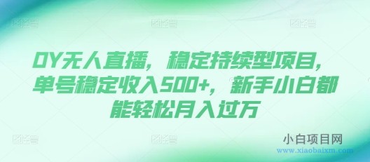 DY无人直播，稳定持续型项目，单号稳定收入500+，新手小白都能轻松月入过万-小白项目分享网