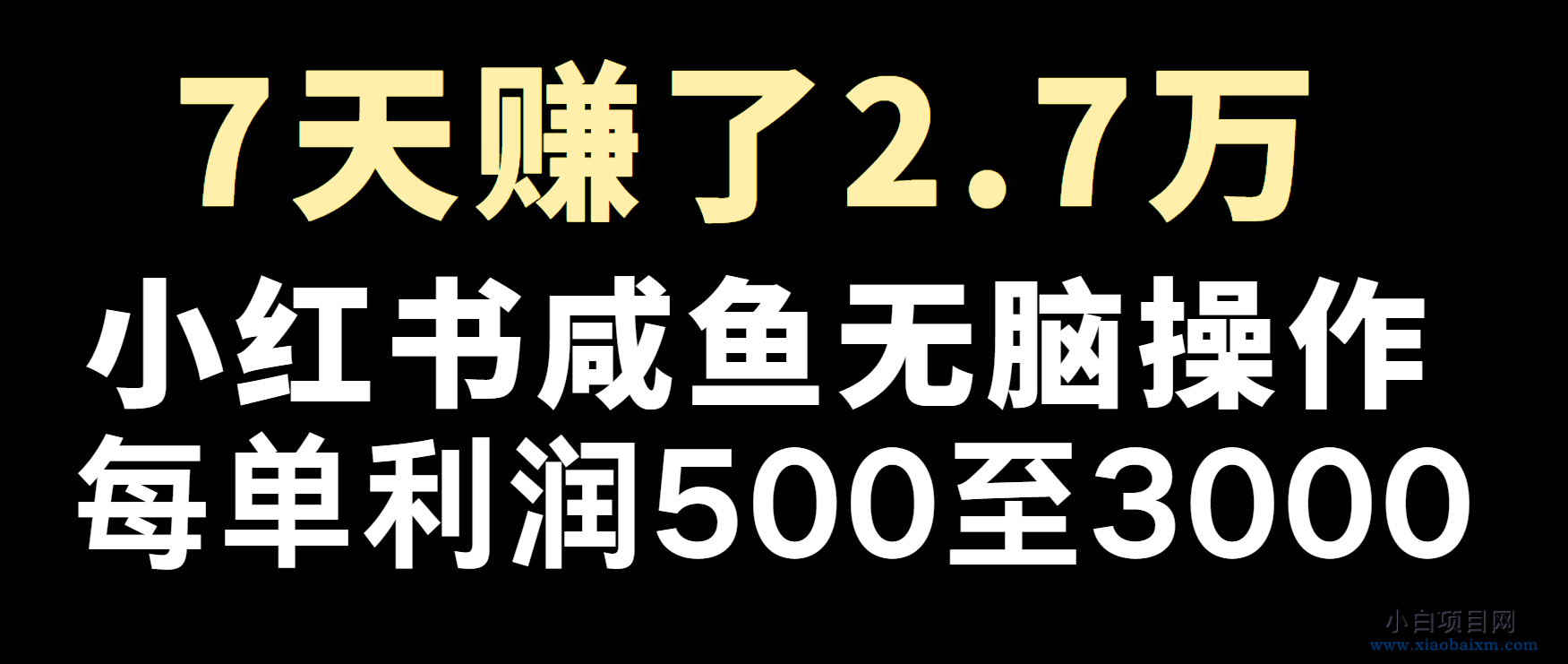 冷门暴利，超级简单的项目0成本玩法，每单在500至4000的利润-小白项目分享网