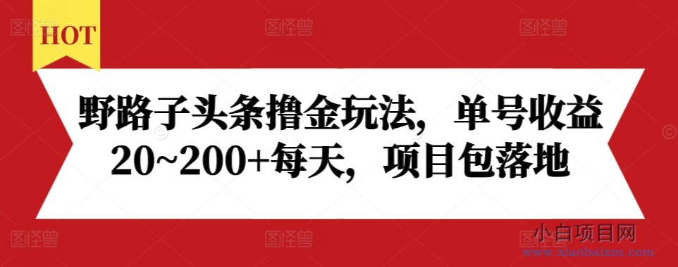 野路子头条撸金玩法，单号收益20~200+每天，项目包落地-小白项目分享网