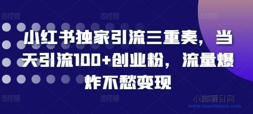 小红书独家引流三重奏，当天引流100+创业粉，流量爆炸不愁变现【揭秘】-小白项目分享网