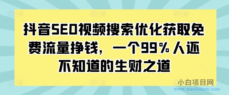 抖音SEO视频搜索优化获取免费流量挣钱，一个99%人还不知道的生财之道-小白项目分享网