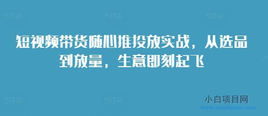 短视频带货随心推投放实战，从选品到放量，生意即刻起飞-小白项目分享网