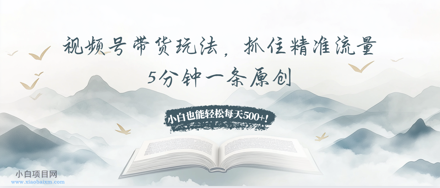 视频号带货玩法，抓住精准流量，5分钟一条原创，小白也能轻松每天500+！-小白项目分享网