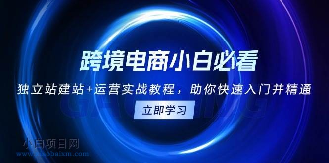 跨境电商小白必看！独立站建站+运营实战教程，助你快速入门并精通-小白项目分享网