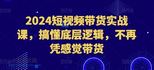 2024短视频带货实战课，搞懂底层逻辑，不再凭感觉带货-小白项目分享网