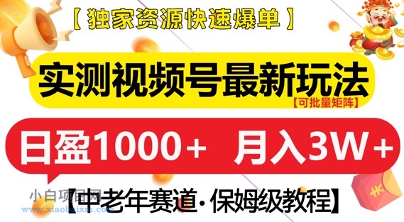 实测视频号最新玩法，中老年赛道，独家资源，月入过W+【揭秘】-小白项目分享网