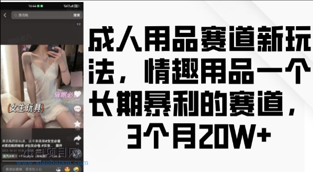 成人用品赛道新玩法，情趣用品一个长期暴利的赛道，3个月收益20个【揭秘】-小白项目分享网