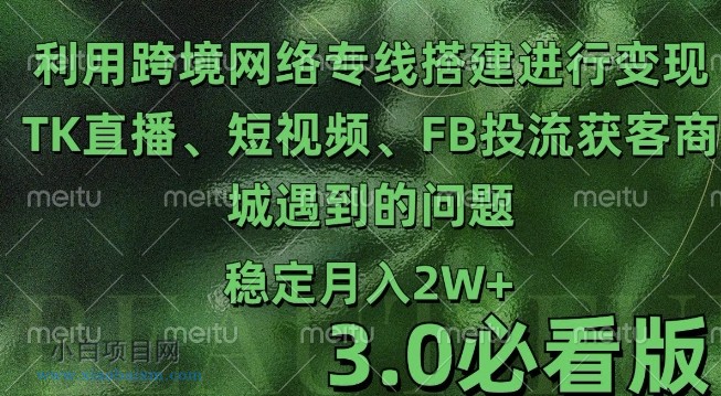 利用跨境电商网络及搭建TK直播、短视频、FB投流获客以及商城遇到的问题进行变现3.0必看版【揭秘】-小白项目分享网