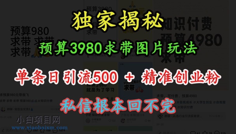 预算3980求带 图片玩法，单条日引流500+精准创业粉，私信根本回不完-小白项目分享网