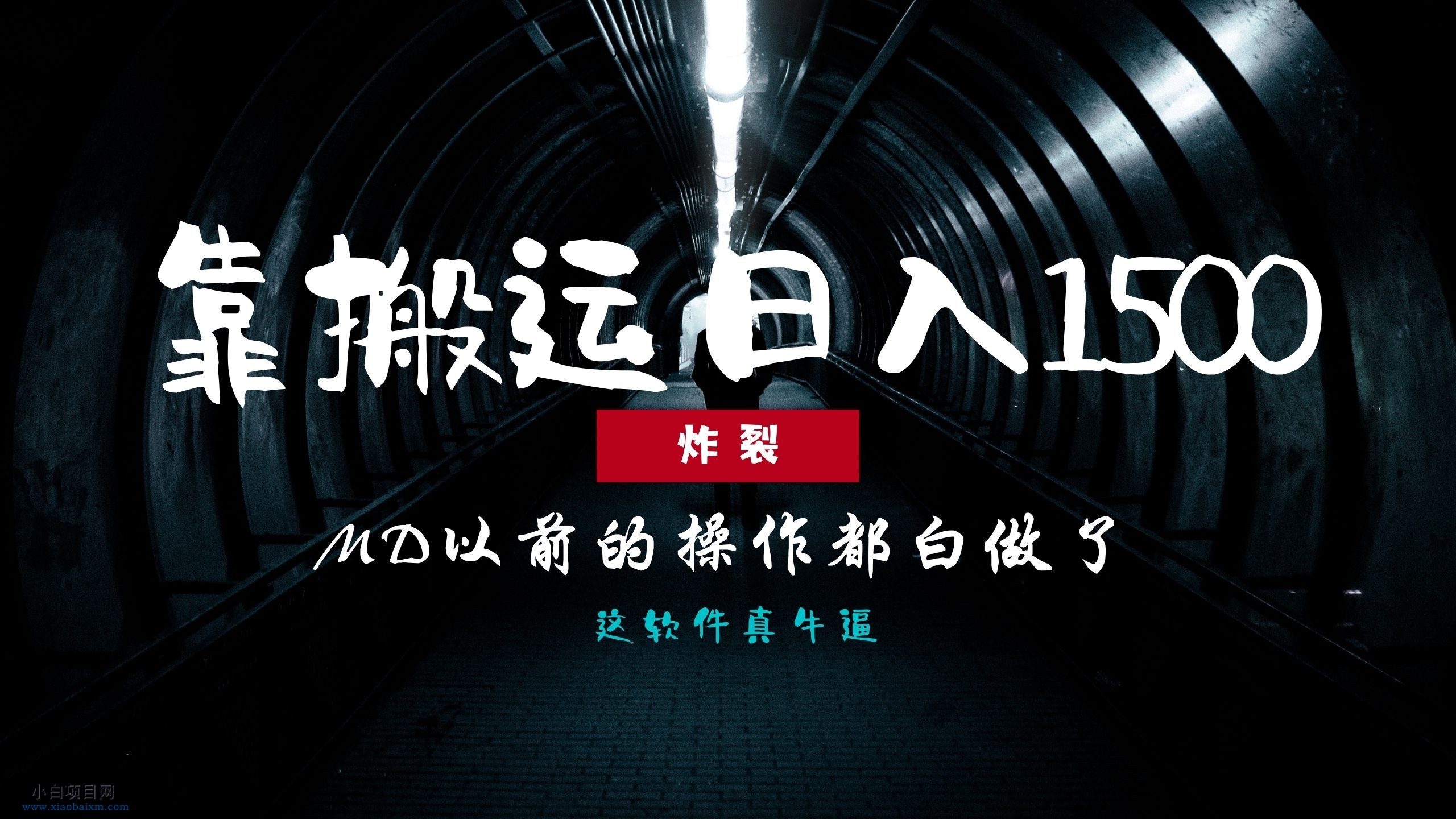 炸裂！0基础搬运也能批量日赚1500+，以前的操作都白做了！-小白项目分享网