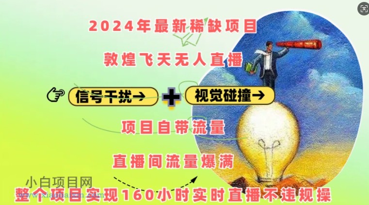 2024年最新稀缺项目敦煌飞天无人直播，项目自带流量，流量爆满，实现160小时实时直播不违规操-小白项目分享网