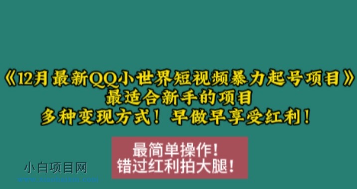 12月最新QQ小世界短视频暴力起号项目，最适合新手的项目，多种变现方式-小白项目分享网