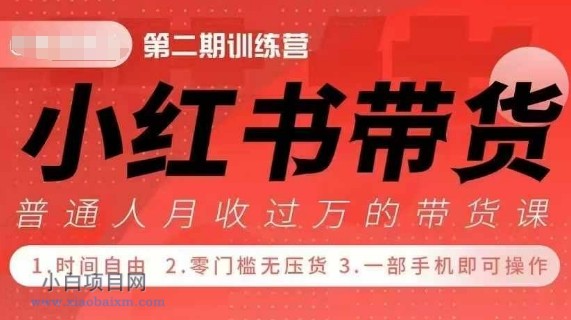 小RED书带货42天训练营 2.0版，宝妈+自由职+上班族+大学生，提高副业收入的大红利项目-小白项目分享网