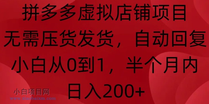 拼多多虚拟店铺项目，无需压货发货，自动回复，小白从0到1，半个月内日入200+【揭秘】-小白项目分享网
