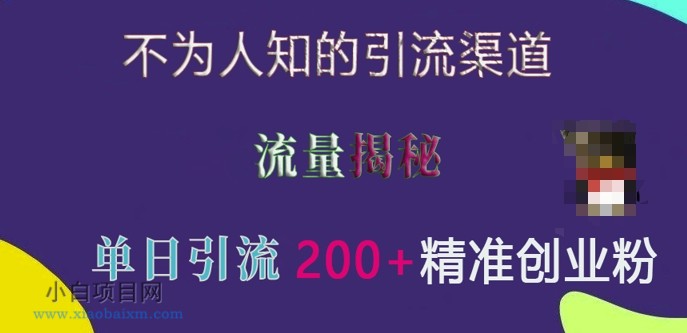 不为人知的引流渠道，流量揭秘，实测单日引流200+精准创业粉【揭秘】-小白项目分享网