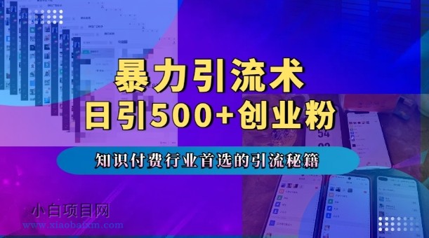 暴力引流术，专业知识付费行业首选的引流秘籍，一天暴流500+创业粉，五个手机流量接不完!-小白项目分享网