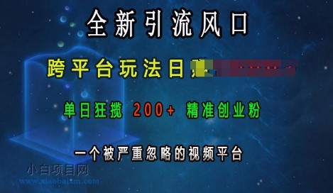 全新引流风口，跨平台玩法日入上K，单日狂揽200+精准创业粉，一个被严重忽略的视频平台-小白项目分享网