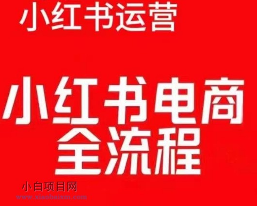 红薯电商实操课，小红书电商全流程-小白项目分享网