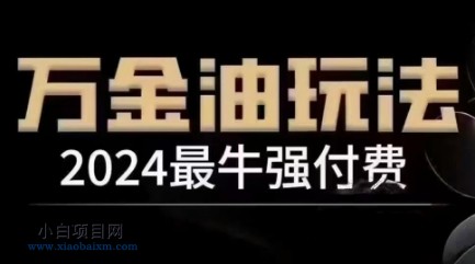 2024最牛强付费，万金油强付费玩法，干货满满，全程实操起飞（更新12月）-小白项目分享网