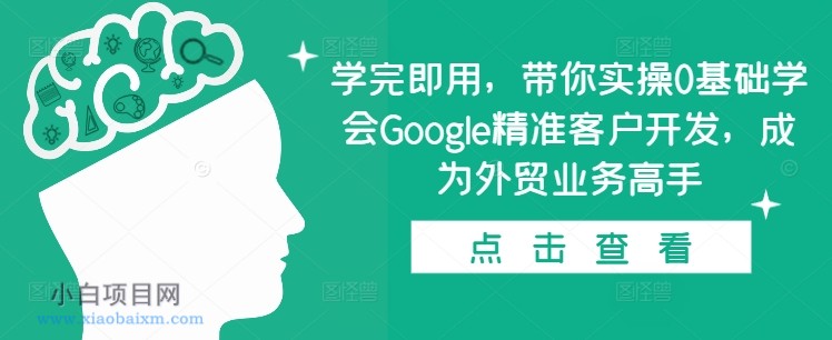 学完即用，带你实操0基础学会GOOGLE精准客户开发，成为外贸业务高手-小白项目分享网