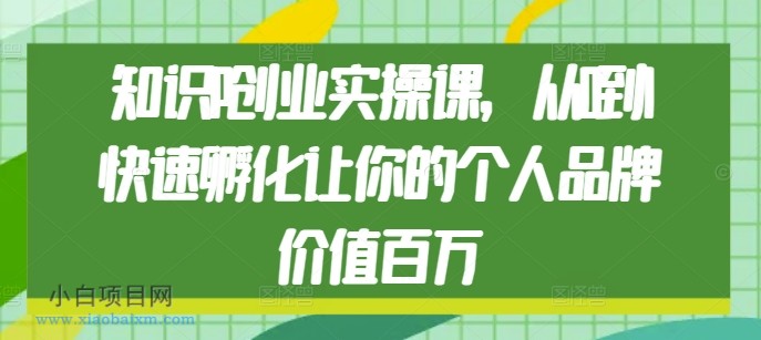 知识IP创业实操课，从0到1快速孵化让你的个人品牌价值百万-小白项目分享网