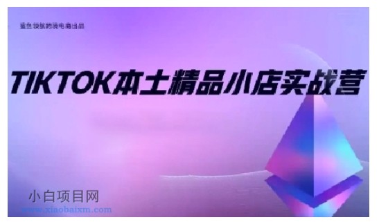 TIKTOK本土精品小店出海实战营，从入门到高阶，不止0-1!-小白项目分享网